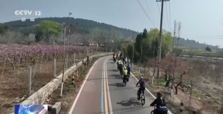 春季过敏高发期 驾车风险要警惕