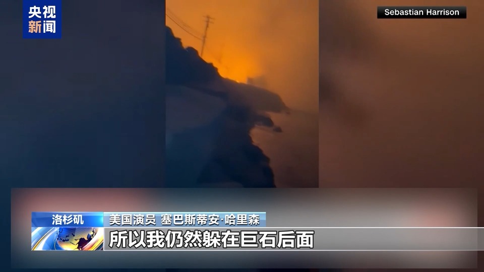 美国加州山火肆虐 59岁演员差点跳海逃生 豪宅化为灰烬