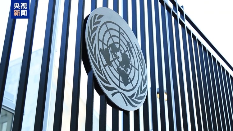 巴勒斯坦观察员：落实“两国方案”国际会议将于9月22日复会
