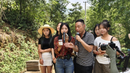 图片默认标题