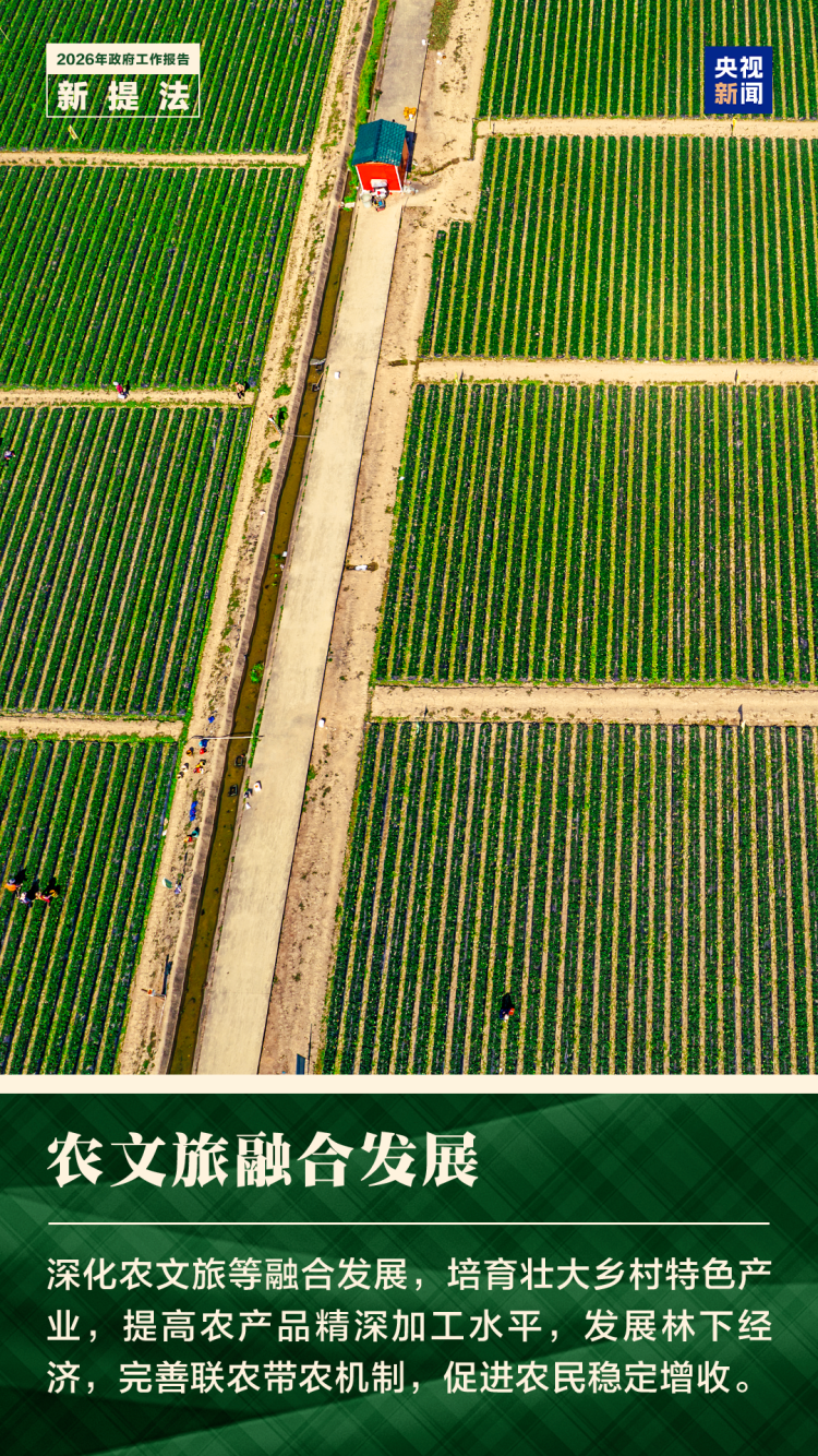 一组图了解政府工作报告中的新提法