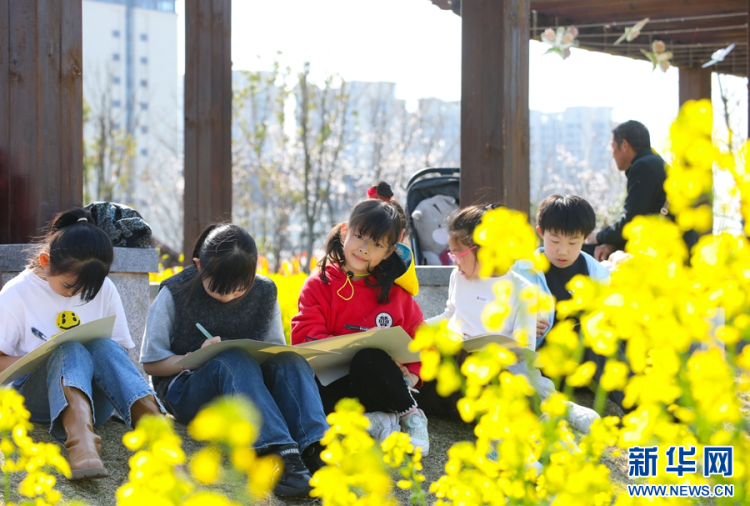 安徽肥西：春花盛开燃热“春日经济”