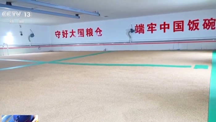 视频丨大国粮仓装备上新 让每一粒粮食住上“空调房”
