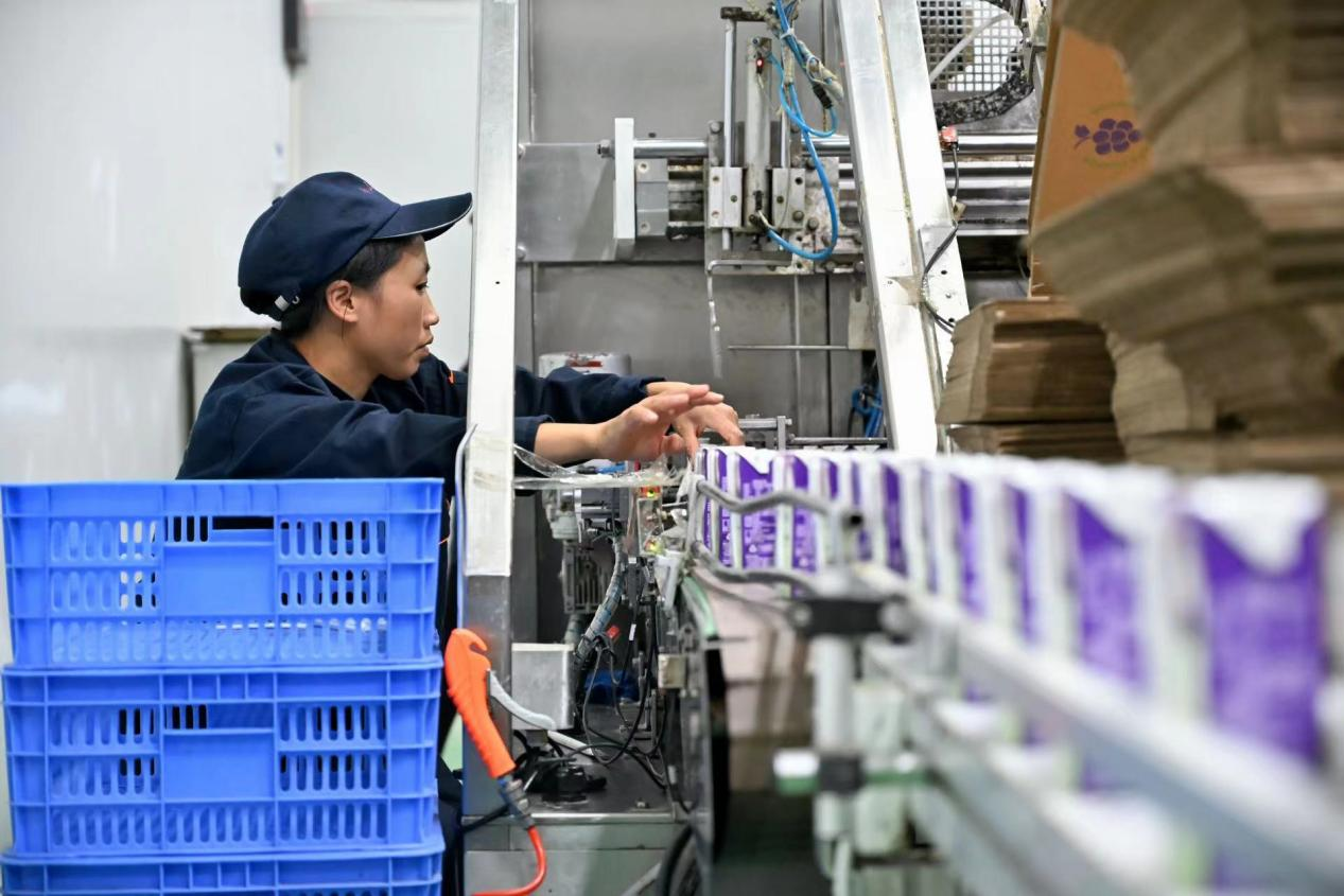 美丽中国南山行丨绿水青山 滋养金字品牌_fororder_图片4