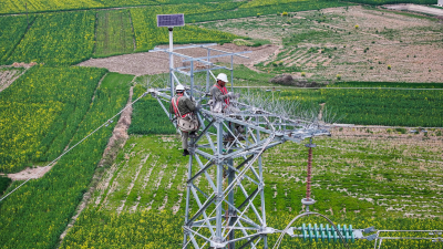 State Grid Jingmen Power Supply Company Implements "Bird + Line Protection" Strategy, Completes First Bird Perch Installation