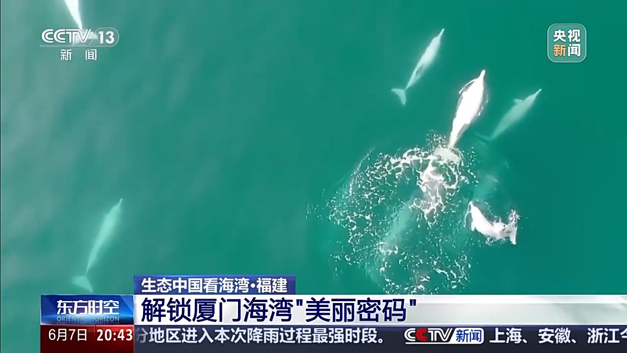 保护潮起潮落间的美丽！看，这是建设海湾的“硬核”实力