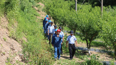 State Grid Longnan Power Supply Company: "Forest and Electricity Common Security" Protects the Safety of Green Water and Green Mountains and Power Grid_fororder_图片1
