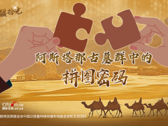 新疆拾光H5｜阿斯塔那古墓群中的拼图密码