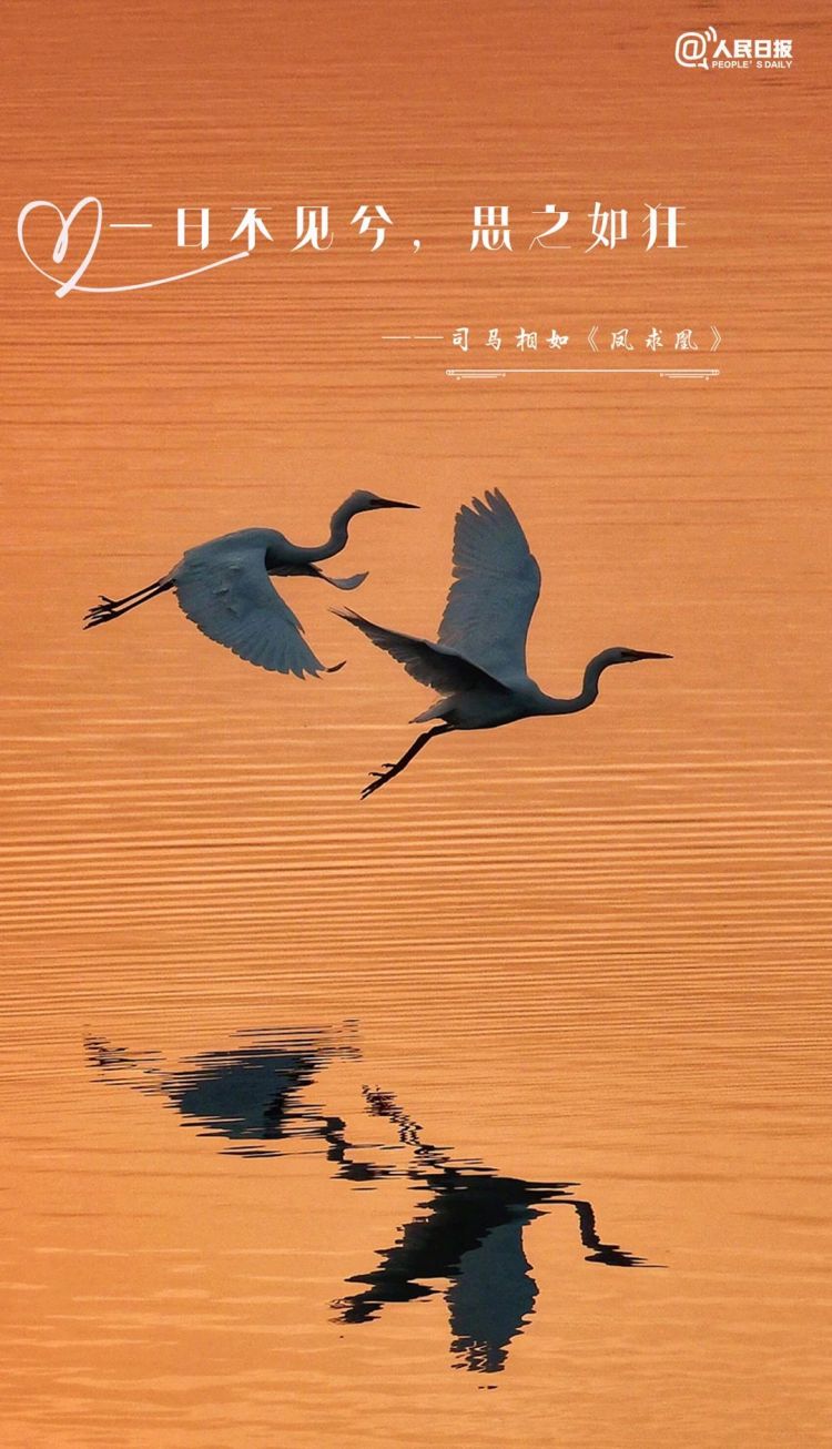 句句不提爱，句句都是爱