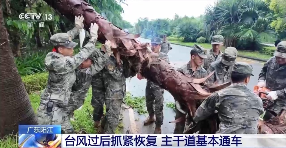 台风过后抓紧恢复 广东阳江主干道基本通车