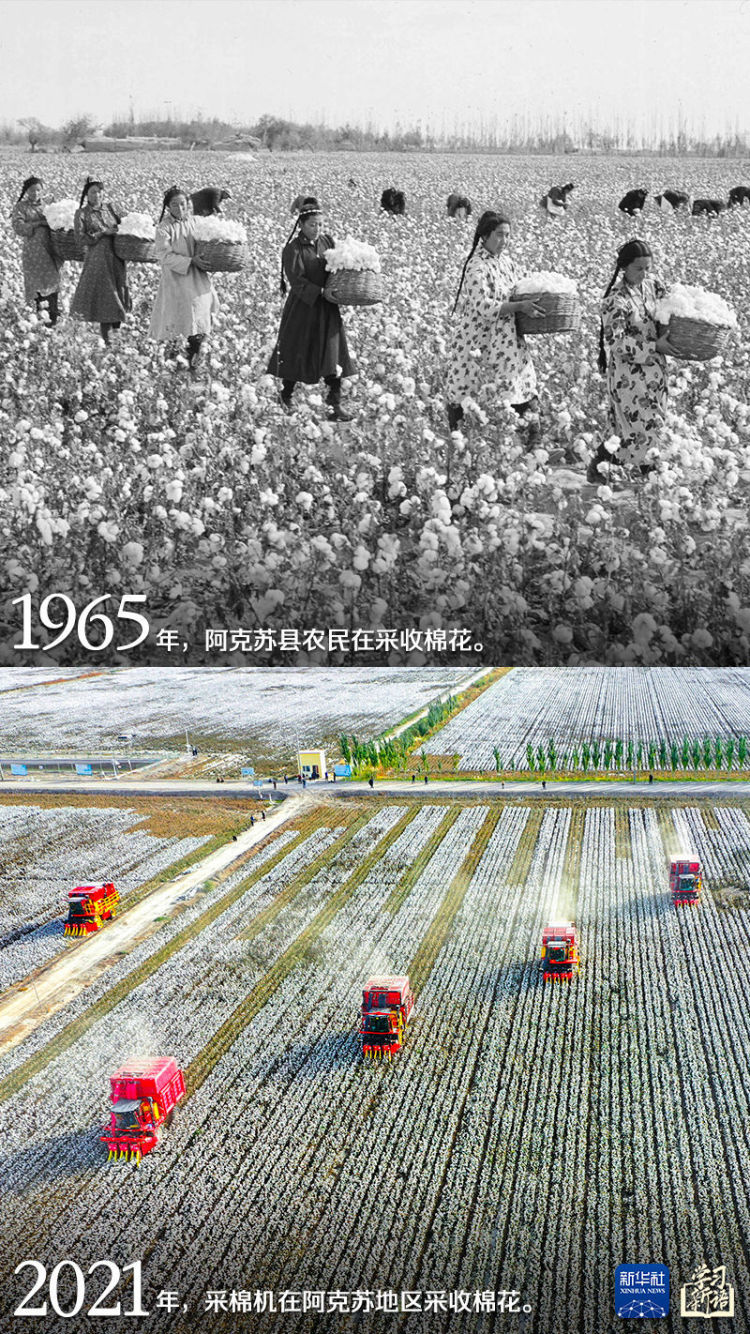 学习新语｜跟着总书记感受新疆70年的沧桑巨变