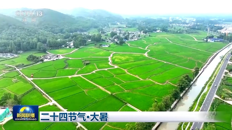 文化中国行丨二十四节气·大暑 映日荷花别样红