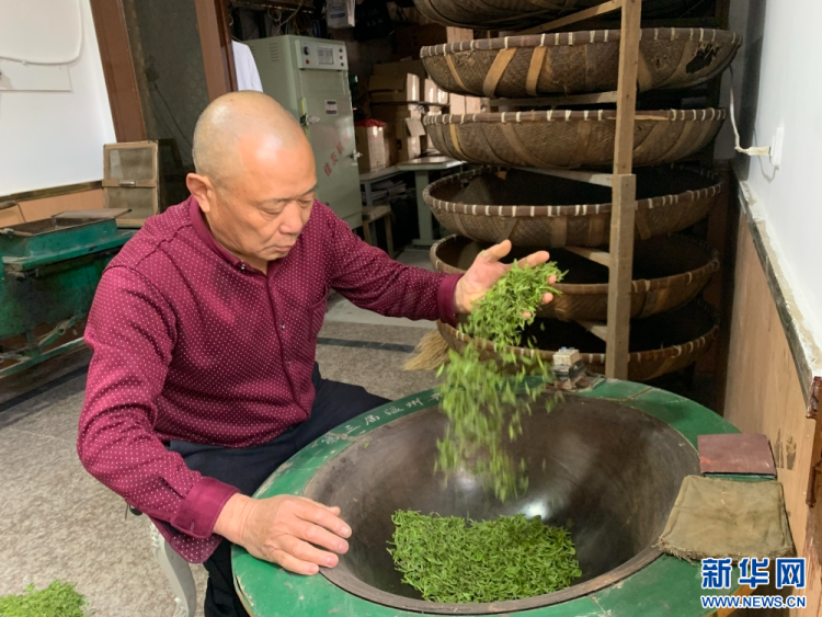 浙江温州：非遗茶香代代传
