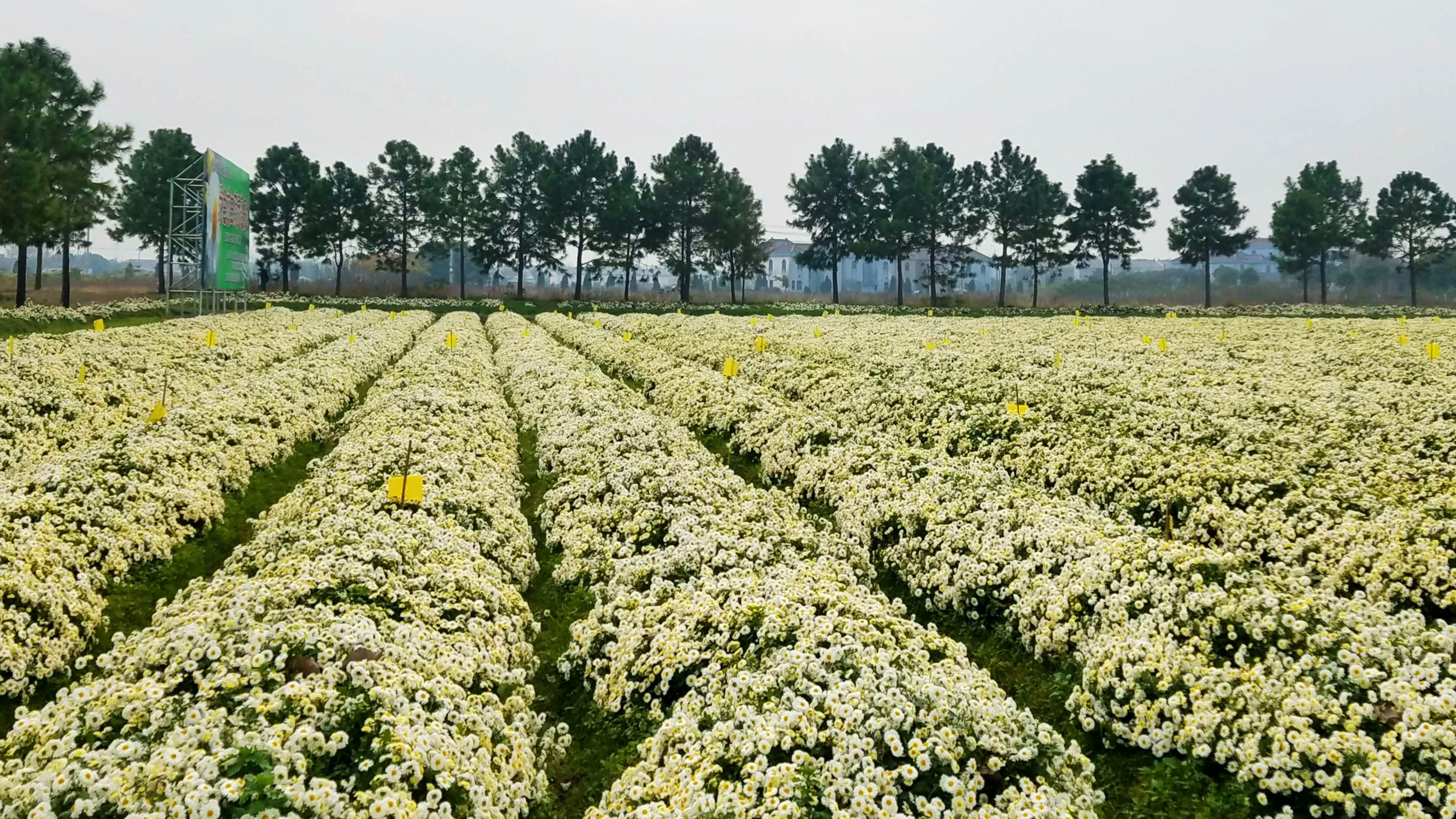 湖南之“心” 康寿新邵