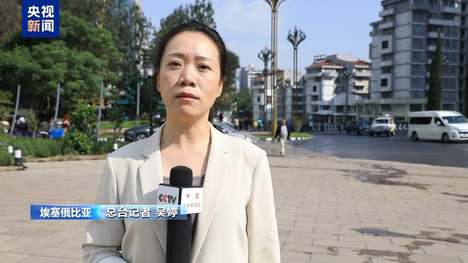 总台记者专访丨联合国专员：人道主义与发展援助对帮助难民缺一不可