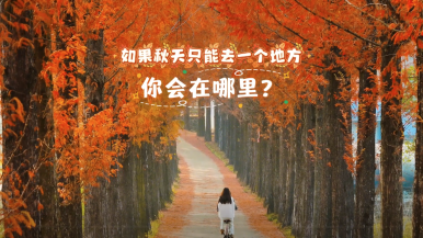 黄山市徽州区：满城秋色 邂逅画中徽州_fororder_微信图片_2025-10-20_171451_290