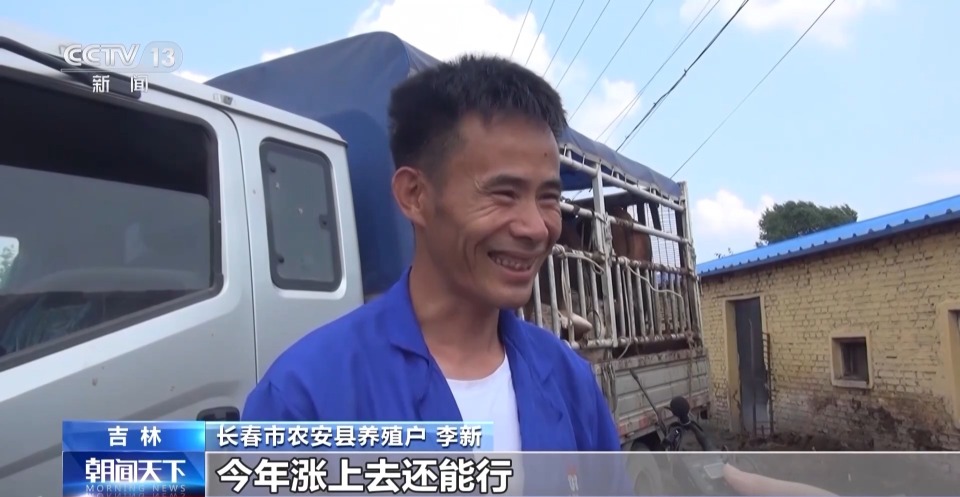 一线调研丨带动21.5万农户养牛致富 这家民企如何牵住“牛鼻子”？