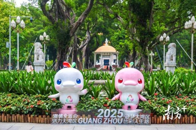 文化中国行·立冬 | 岭南立冬春意同，新梅万朵映晴空