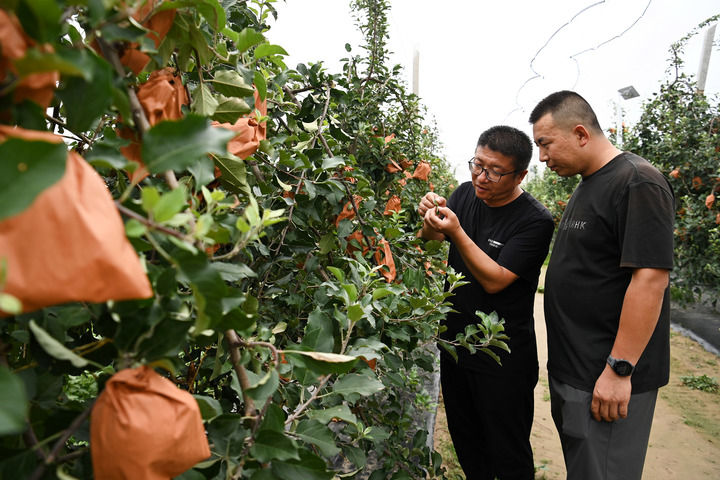 滚滚延河水 不尽为民情——从延安谱写奋进新篇感知“为人民服务”矢志不渝