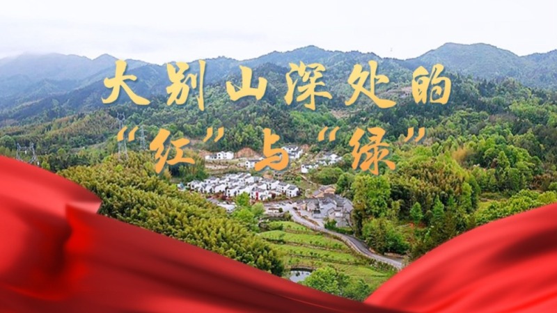 大别山深处的“红”与“绿”