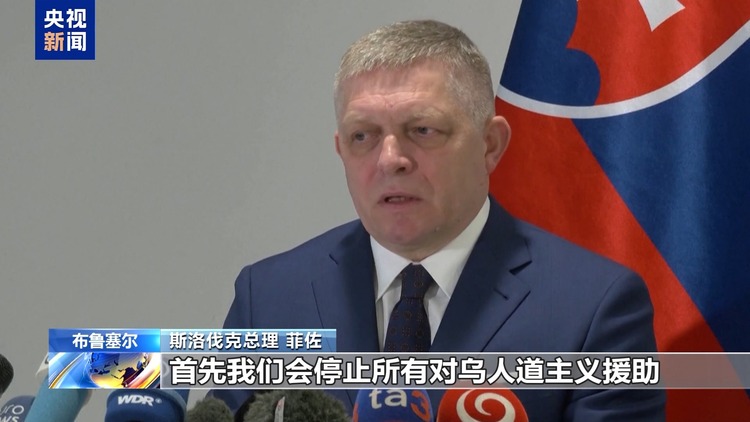 “断气”可能造成近15亿欧元损失 斯洛伐克总理称或报复乌克兰