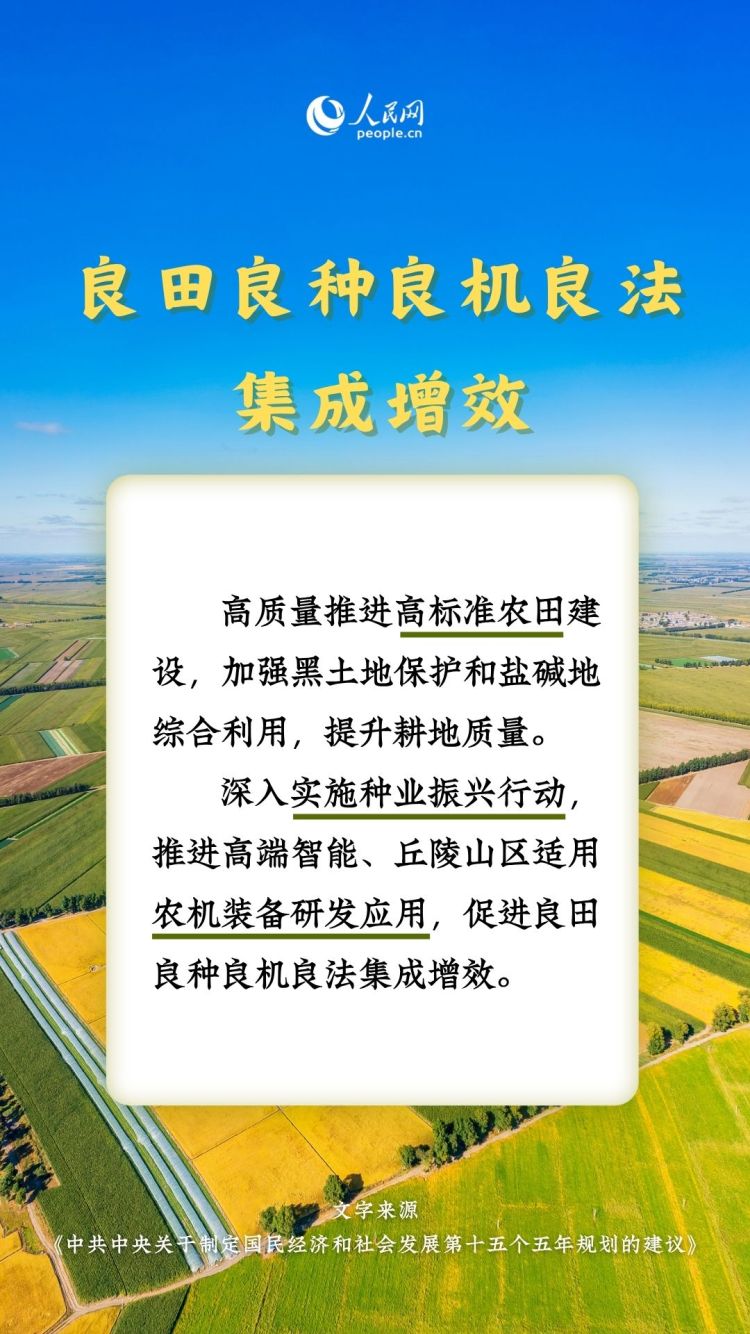 热词里的“十五五”丨这些“三农”关键词，透露增收新路径_fororder_3