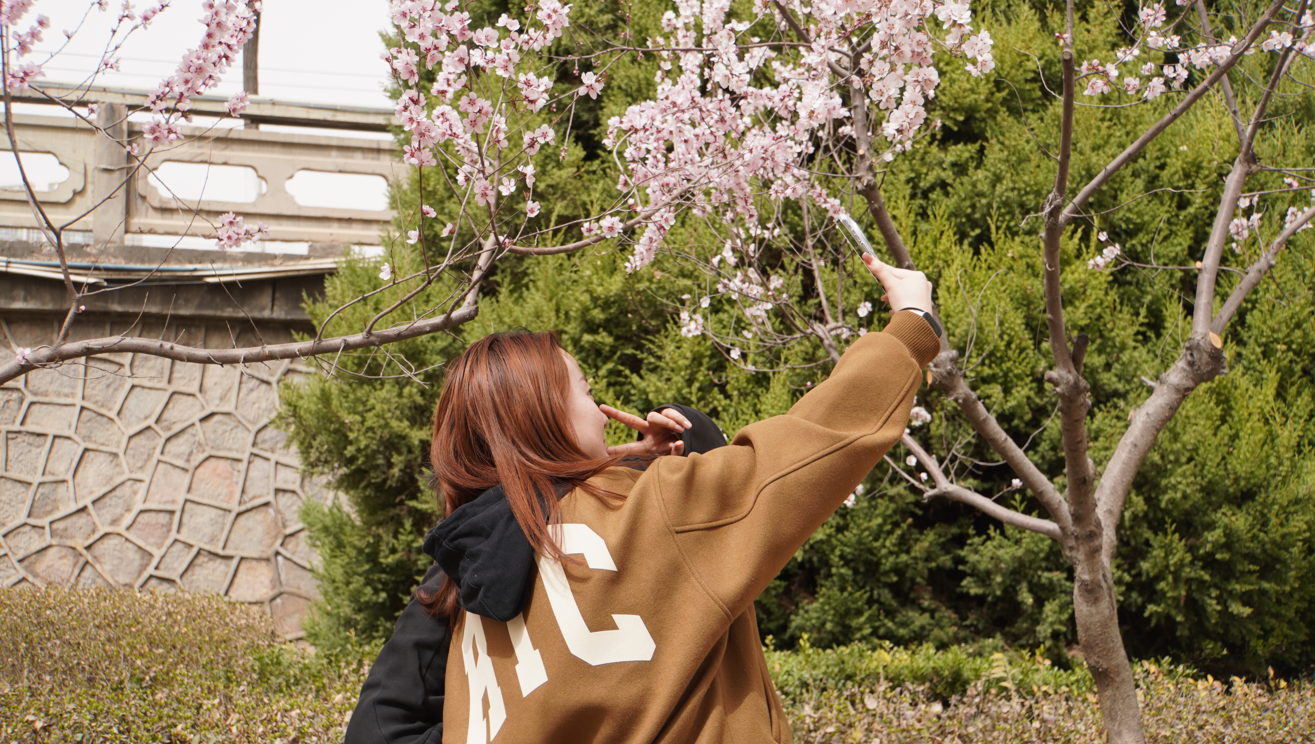 金城春信至 繁花绘盛景_fororder_DSC00755.JPG