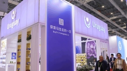 跨越半个地球的合作，见证全球南方团结自强