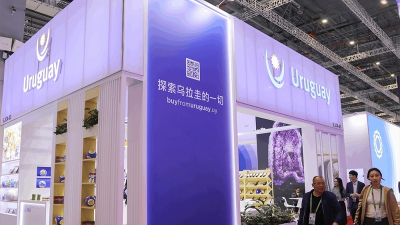 跨越半个地球的合作，见证全球南方团结自强