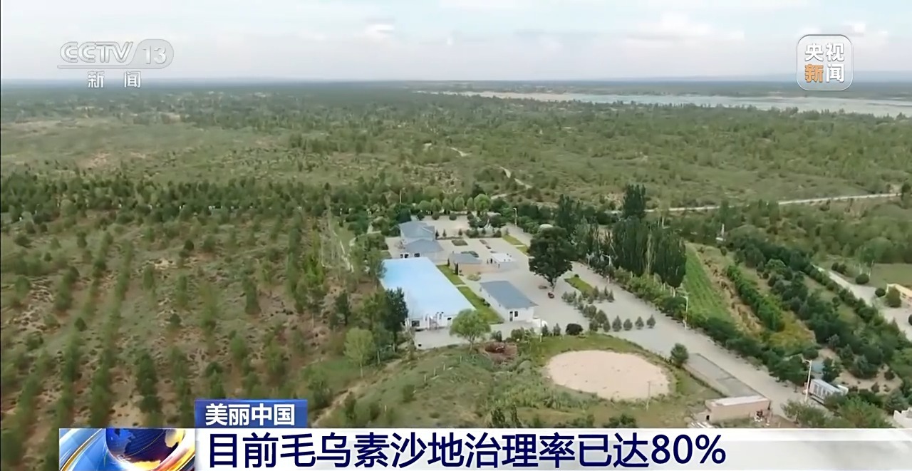 毛乌素沙地治理率已达80% 下一个目标：100%！