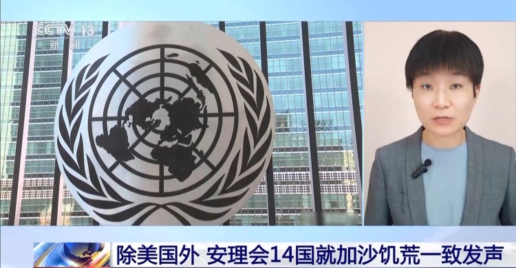 偏袒以色列 美国未加入安理会14国关于加沙饥荒联合声明