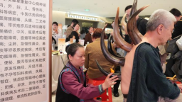 国潮夜市再启航 中医药暖心服务入万家