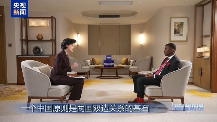 高端访谈丨专访格林纳达总理米切尔