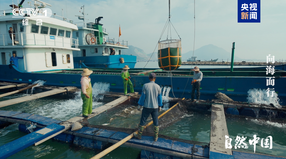 全景式展现中国海洋发展图景 《向海而行》今日开播