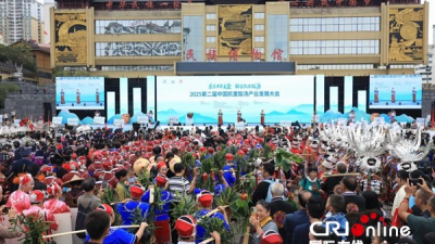 The Second China Kaili Sour Soup Industry Development Conference Opens in 2025