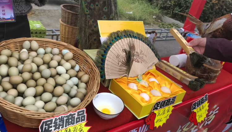 五河县 2025 年中国农民丰收节暨第七届螃蟹节启幕  以 “蟹” 为媒绘就乡村振兴新图景_fororder_8