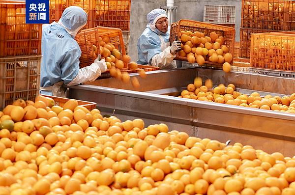农产品价格、土地流转、农民增收 更多“三农”热点最新解读