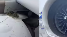 印度航空一客机降落时偏离跑道