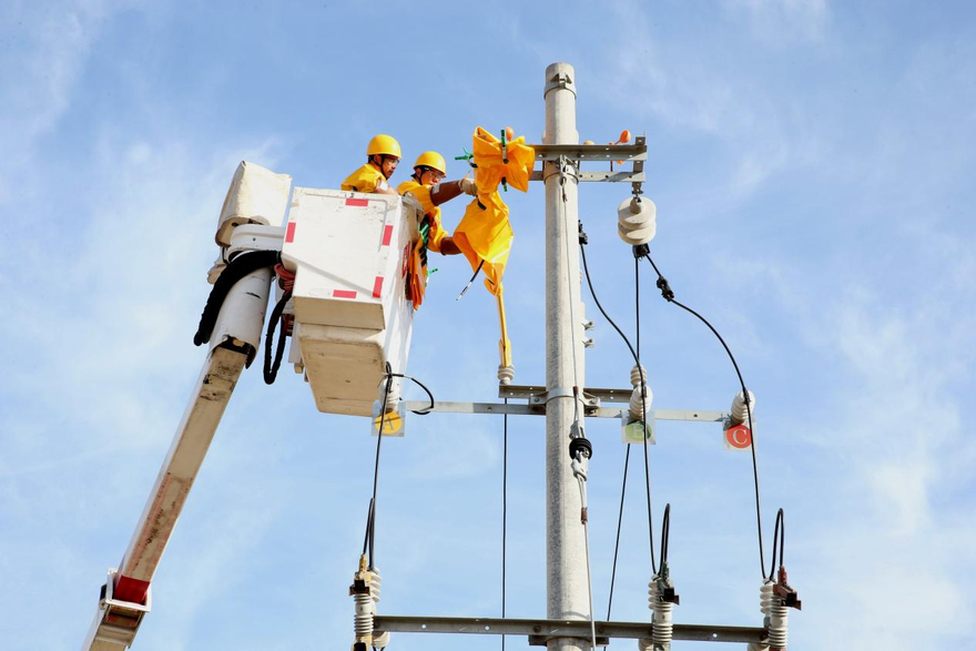 The State Grid Jiaozuo Power Supply Company lays a solid foundation for the construction of high-standard farmland with its robust power grid