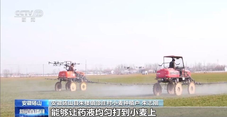 麦田返青、春花盛开……春天“拍了拍”你