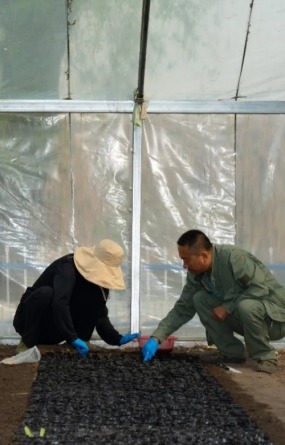 泥土赤子的“种子情怀”——记呼伦贝尔市农牧科学研究院玉米水稻创新团队带头人孙东显
