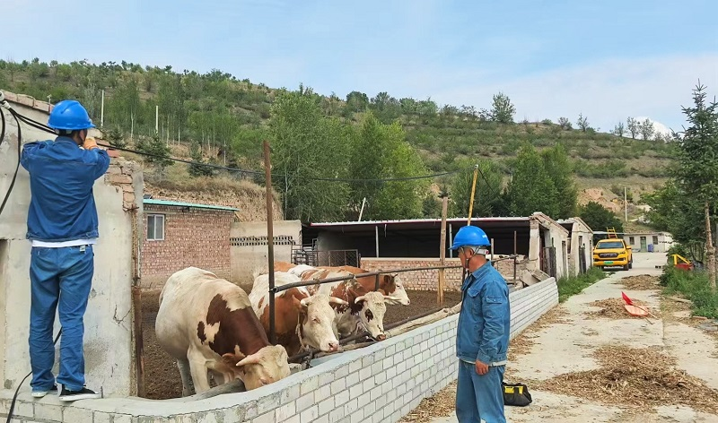 Electricity Fuels the Dreams of Diverse Agriculture_fororder_图片4