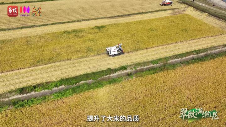 “县”在起笔 青绿绘江山 | 翠微满乾“昆”，繁华都市与生态绿意温柔相拥
