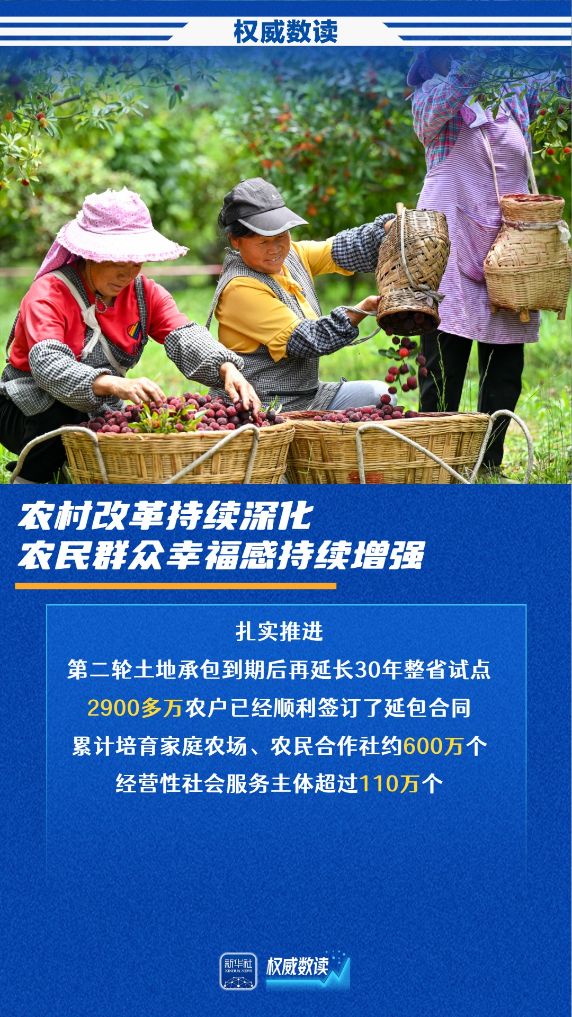权威数读｜夏粮首破3000亿斤，农业农村经济保持稳中向好