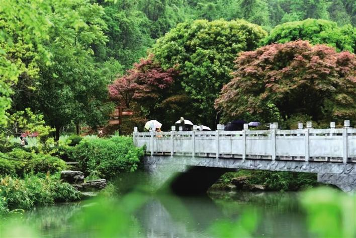 夏游张家界黄龙洞， 邂逅别样 “枫” 情_fororder_微信图片_6