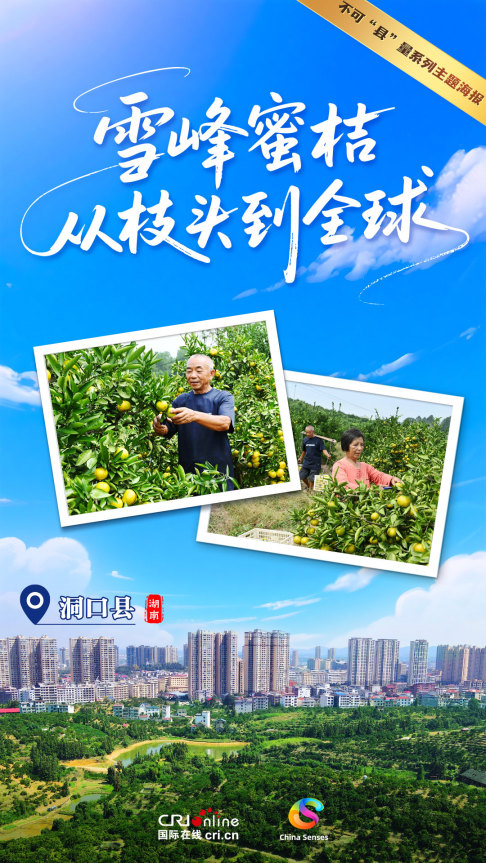 Oh My County ! 不可“县”量 | 雪峰蜜桔 从枝头到全球_fororder_雪峰蜜桔-1080x1920-中(1)