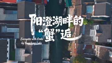 鲜味中国 四季农香 | 阳澄湖畔的“蟹”逅