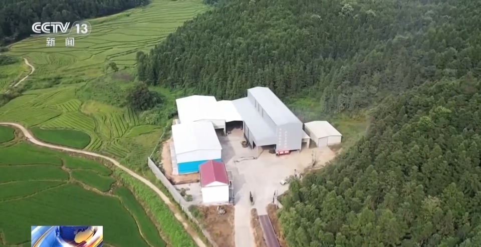万亩凤堰古梯田迎丰收 秋日丰收美景已上线！