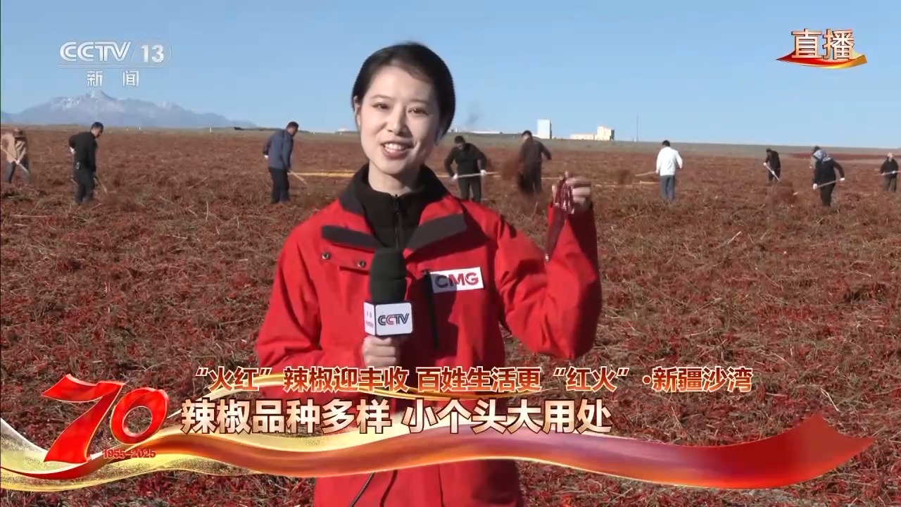 在新疆万亩戈壁晾晒场 看“火红辣椒”带来“红火日子”
