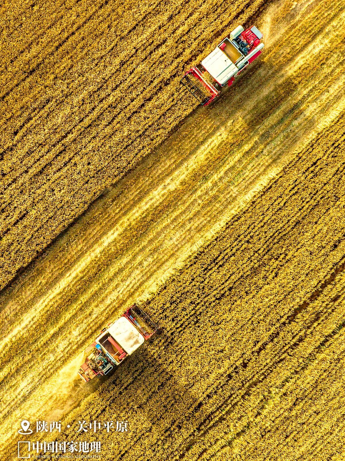 丰饶的中国，看“最富饶”的风景！